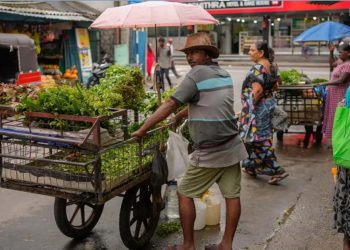 Sri Lanka fails first IMF review, no timeline for further aid I Sri Lanka Latest News