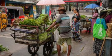 Sri Lanka fails first IMF review, no timeline for further aid I Sri Lanka Latest News