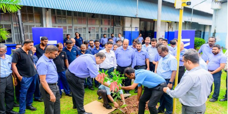 Sustainability-focused CEAT Kelani engages employees and families in tree planting I Sri Lanka Latest Business News