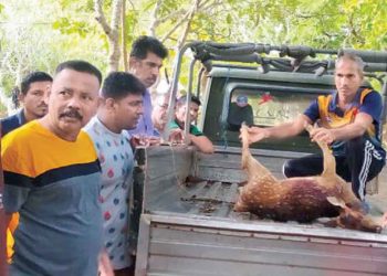 Wild Life officers arrest two millionaire businessmen with their hunted carcases ! Sri Lanka Latest News