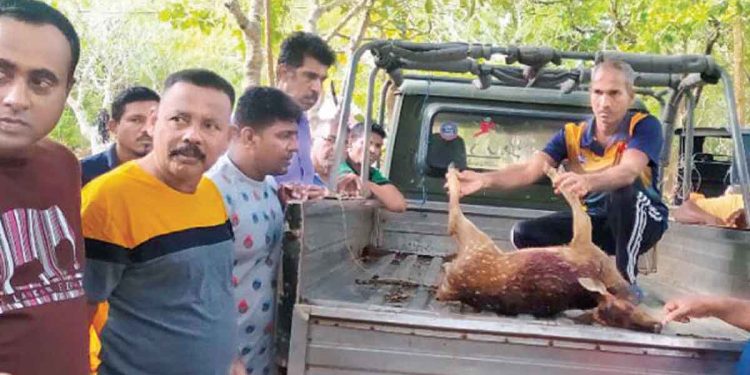 Wild Life officers arrest two millionaire businessmen with their hunted carcases ! Sri Lanka Latest News