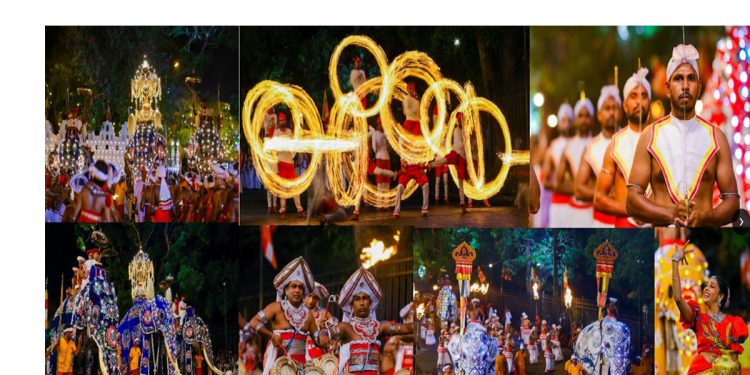 Highlights of the Vibrant Kandy Esala Perahara I Sri Lanka Latest News