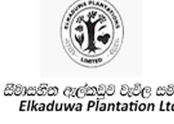 Alkaduwa company has spent 274 lakhs for 6 years of litigation on 2 kilos of pepper valued at 400 rupees! GM appointed was a convicted person!