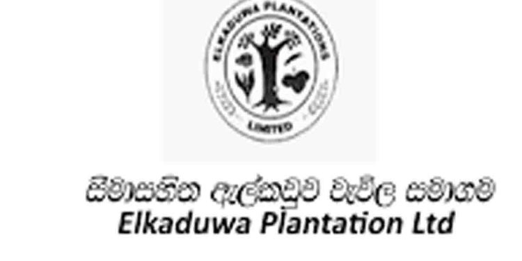 Another scam exposed in Alkaduwa Plantation! Chairman holds two positions and claims privileges for both positions! The board of directors exceeded their authority! VIDEO  I Sri Lanka Latest News  