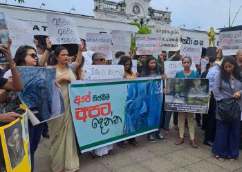 ‘Don’t kill elephants’!  Elephant lovers in a protest today! VIDEO & PHOTOS I Sri Lanka Latest News