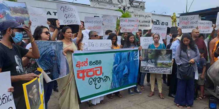 ‘Don’t kill elephants’!  Elephant lovers in a protest today! VIDEO & PHOTOS I Sri Lanka Latest News