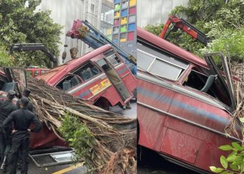 A huge tree fell on a bus in Kollupitiya! 5 passengers were killed! VIDEO I Sri Lanka Latest News