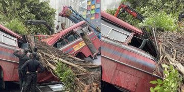 A huge tree fell on a bus in Kollupitiya! 5 passengers were killed! VIDEO I Sri Lanka Latest News
