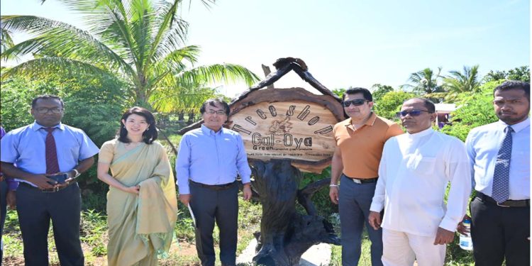 Recognizing the contribution of women in Sri Lanka towards food security and sustainable economic recovery  I Sri Lanka Latest News