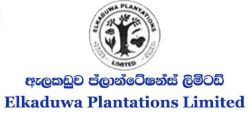 Alleging as Informants to the COPE committee workers targeted by the chiefs of Elkaduwa plantation to prevent further exposures! VIDEO I Sri Lanka Latest News