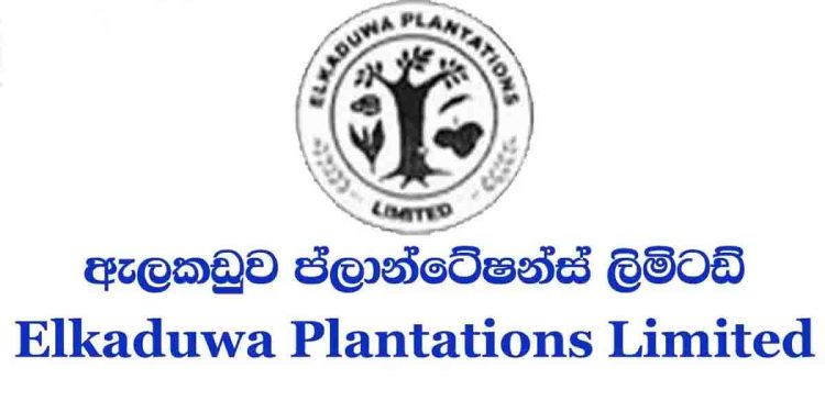 Alleging as Informants to the COPE committee workers targeted by the chiefs of Elkaduwa plantation to prevent further exposures! VIDEO I Sri Lanka Latest News