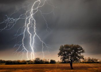 Rain with Strong lightning! Be cautious: a warning from Met. dept. ! Sri Lanka Latest News