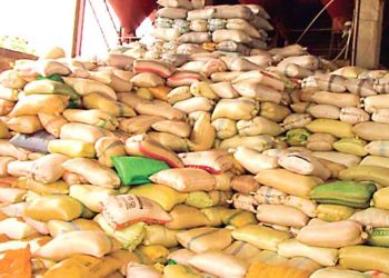 10 crore worth of paddy stock in the Paddy Marketing Board is missing! Suspected an inside job!  I Sri Lanka Latest News