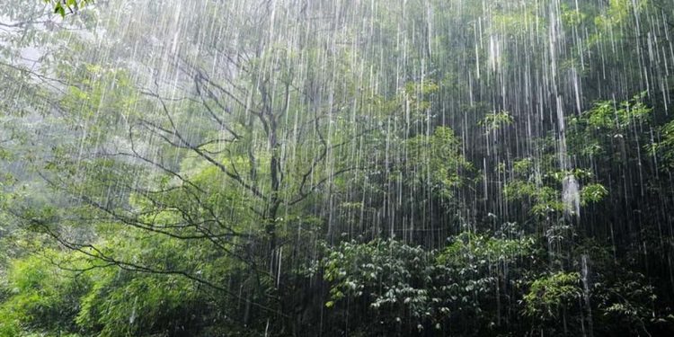 Rainy conditions continue till Saturday- Met dept. I Sri Lanka Latest News