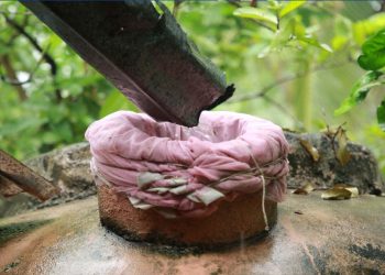 Integrated Water Resources Development: The Way Forward for Sri Lanka to tackle the Climate Crisis  I Sri Lanka Latest News