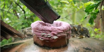Integrated Water Resources Development: The Way Forward for Sri Lanka to tackle the Climate Crisis  I Sri Lanka Latest News