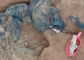 19th skeleton emerges from Mullaitivu mass grave! LTTE clothes have also been found! Sri Lanka Latest News