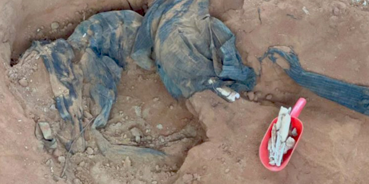 19th skeleton emerges from Mullaitivu mass grave! LTTE clothes have also been found! Sri Lanka Latest News