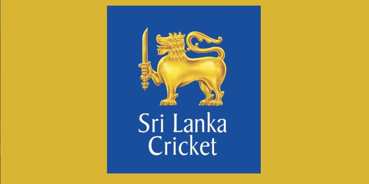 Sports Minister Appoints Interim Committee for SLC I Sri Lanka Latest News