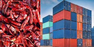 25 containers of chillies containing aflatoxin are being diverted back to Pakistan! Sri Lanka Latest News