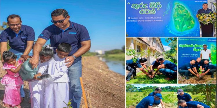 ComBank embarks on another sustainability initiative planting 100,000 ‘Trees for Tomorrow’ I Sri Lanka Latest News