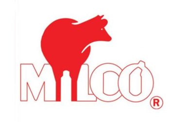 Petroleum Puzzle: 1.7 Crore Worth of Oil Vanishes en Route to Milco! Unraveling the Mystery! Audit report I Sri Lanka Latest News