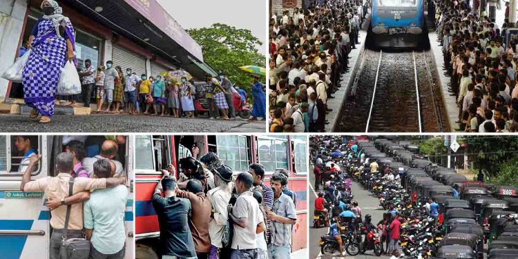 Stark Disparities Revealed: 60.5 per cent families’ income decreased while 91per cent families’ expenditure increased: Census and Statistics Report Highlights I Sri Lanka Latest News