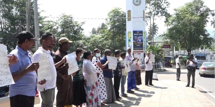 11 veterinarians have left the country! One of the remaining two has been transferred! The other person is on sick leave! 3000 dairy farmers in the Central Province protest! Sri Lanka Latest News