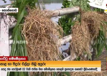 Buses arrived from all parts to Colombo for the Pohottuwa convention!, Grass – straw bundles seen placed around Sugathadasa stadium in some places! VIDEO I Sri Lanka Latest News