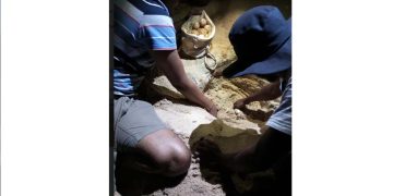 Dedicated volunteers, lasting impact: Hayleys Puritas honours third year of ‘Behold the Turtle’ project on World Volunteerism Day  I Sri Lanka Latest News