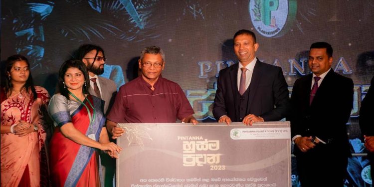 Pintanna Plantations Unveils the First-Ever Wallapatta Museum  I Sri Lanka Latest News