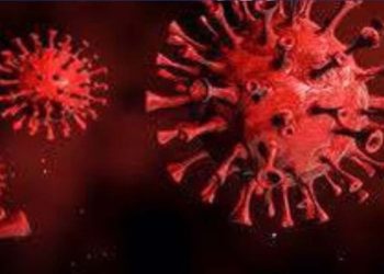 Sri Lanka has confirmed a Covid-related death following an extended duration I Sri Lanka Latest News
