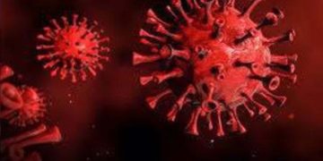 Sri Lanka has confirmed a Covid-related death following an extended duration I Sri Lanka Latest News