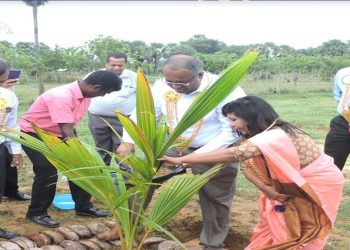 Haycarb PLC’s Vision for a Greener Future: A Partnership for Sustainable Coconut Farming and Community Prosperity I Sri Lanka Latest Business News
