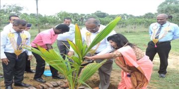 Haycarb PLC’s Vision for a Greener Future: A Partnership for Sustainable Coconut Farming and Community Prosperity I Sri Lanka Latest Business News