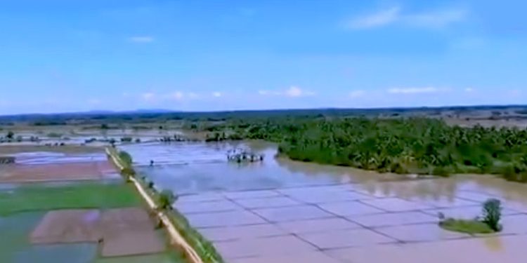 Polonnaruwa is submerged! VIDEO I Sri Lanka Latest News