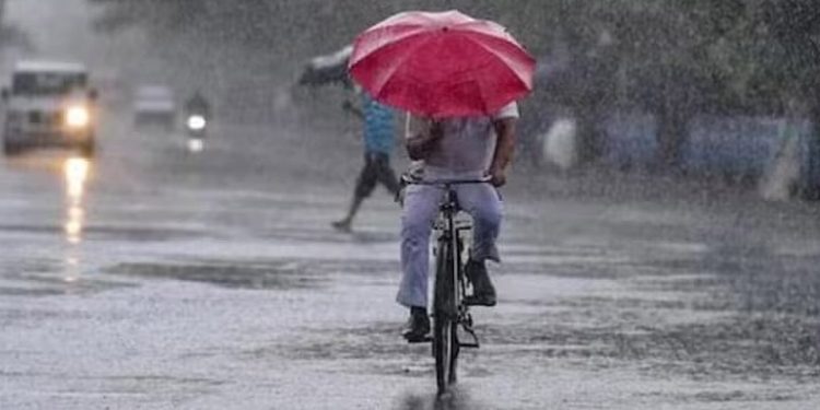 Prevailing showery condition over the island is expected to be reduced from today, I Sri Lanka Latest News