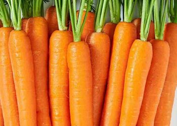 Guards are paid 1500 to protect carrot sacks in Dambulla Economic Center! I Sri Lanka Latest News