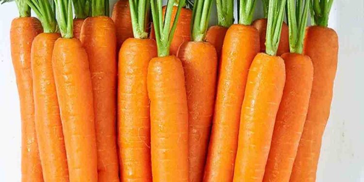 Guards are paid 1500 to protect carrot sacks in Dambulla Economic Center! I Sri Lanka Latest News