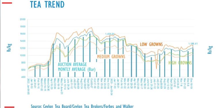 Tea prices in Sri Lanka fall by 18 per cent in 2023 I Sri Lanka Latest News
