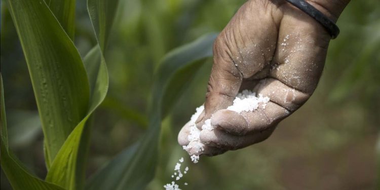 Sri Lanka overpaid an Indian fertiliser company in 2021: audit report I Sri Lanka Latest News