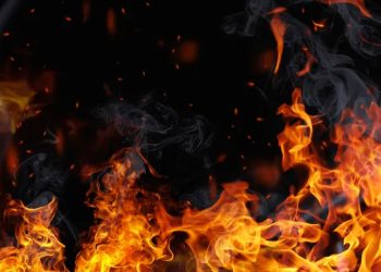 Two dead due to fire in ‘Pointpedro’ fisheries farm I Sri Lanka Latest News