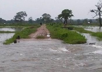 Sri Lanka Faces Devastation as 61,000 Paddy Fields Completely Wiped Out: SriLanka Latest News