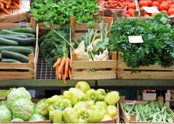 In 2023, more than $300 million spent on vegetable imports I Sri Lanka Latest News
