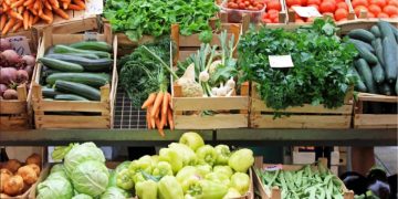 In 2023, more than $300 million spent on vegetable imports I Sri Lanka Latest News