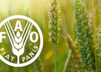 There are no farmers at the Asia Pacific Farmers Summit! The government holds summits without regard for people’s hunger! Farmers made accusations at the press conference! Sri Lanka Latest News