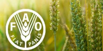 There are no farmers at the Asia Pacific Farmers Summit! The government holds summits without regard for people’s hunger! Farmers made accusations at the press conference! Sri Lanka Latest News
