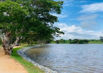 Advantis – Project Logistics Supports Climate-Smart Agriculture Initiatives to Battle Food Security