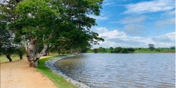 Advantis – Project Logistics Supports Climate-Smart Agriculture Initiatives to Battle Food Security