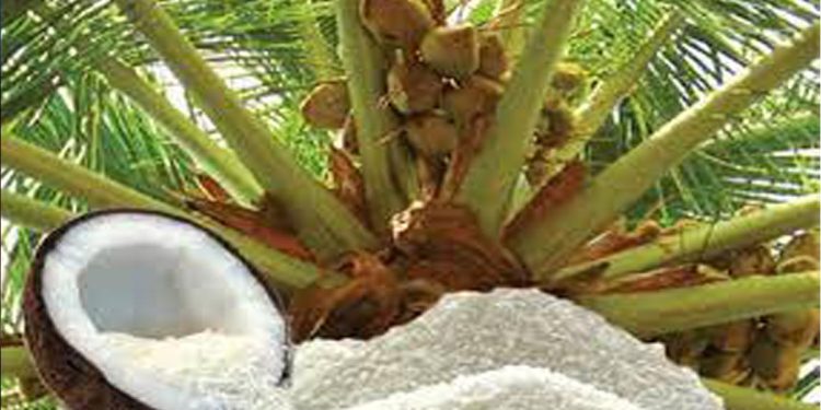 VAT 18 shutting down Sri Lanka’s coconut industry